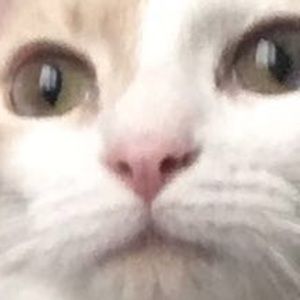 Meet your Posher, Trevor